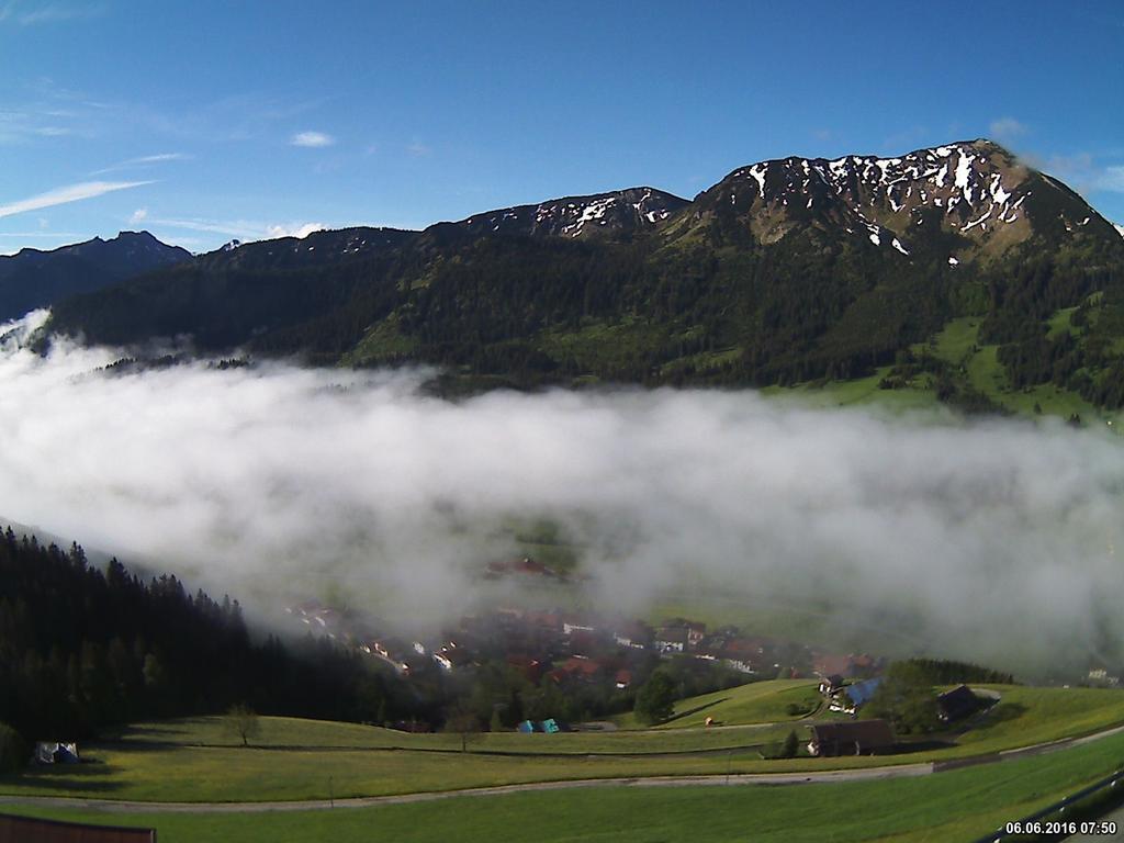 Alpenrose Zöblen